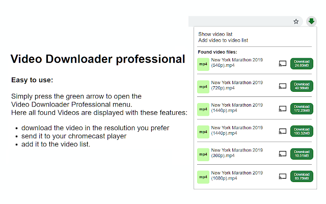 「Video Downloader Professional」1